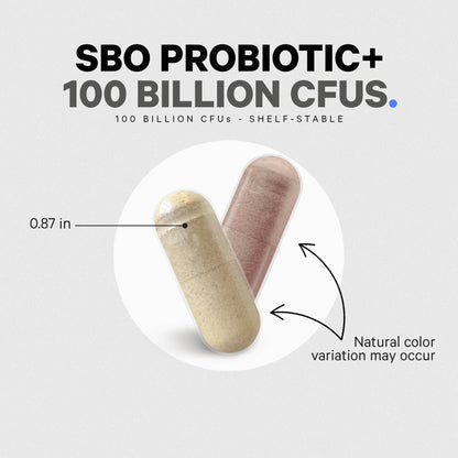 Codeage SBO Probiotics, 100 Billion CFUs Per Serving, Multi Strain Soil Based Organisms Blend and Organic Fermented Botanical Blend, Shelf-Stable, 90 Capsules - dailyvitalstore