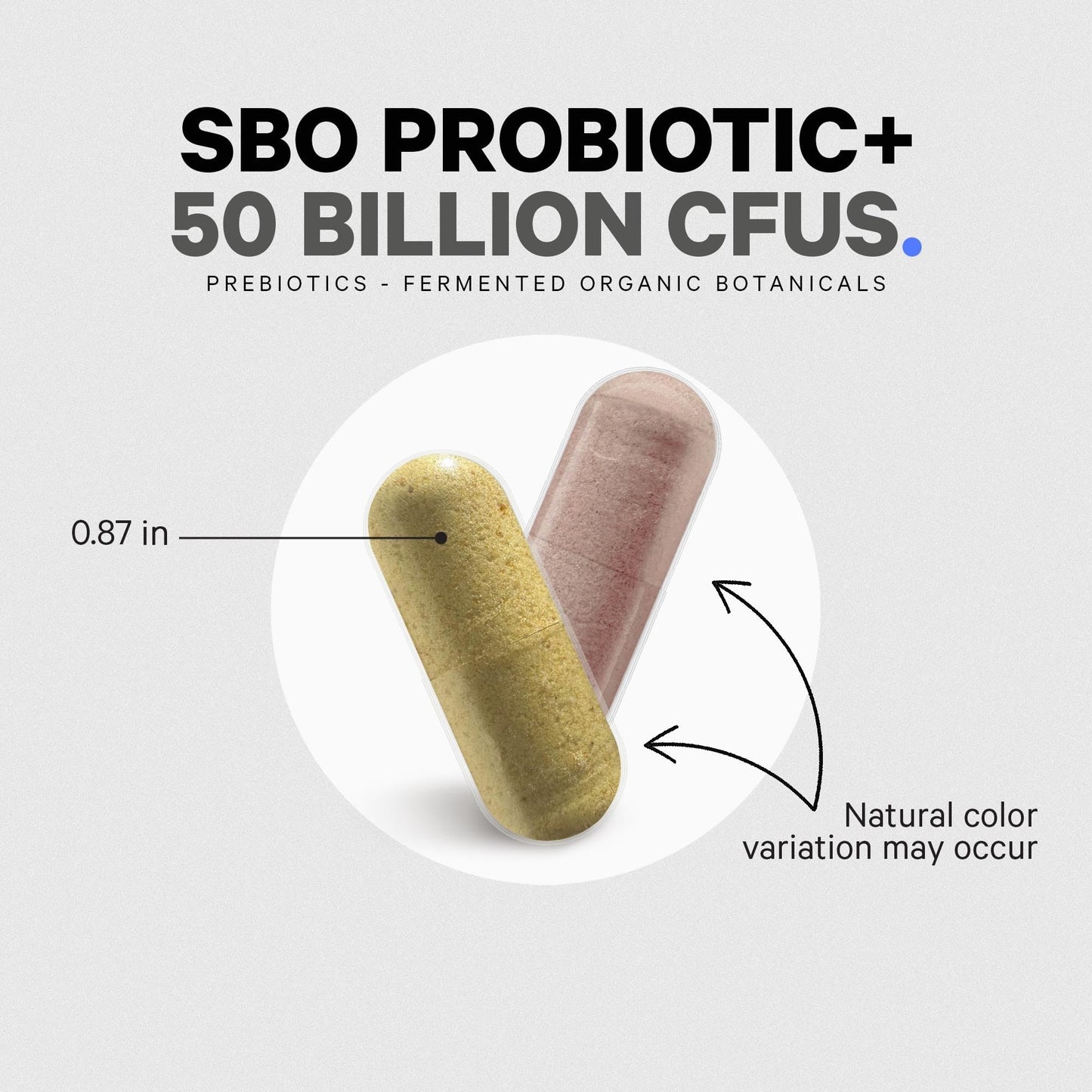 Codeage SBO Probiotics, 50 Billion CFUs Per Serving, Multi Strain Soil Based Organisms Blend and Organic Fermented Botanical Blend, Shelf-Stable, 90 Capsules - dailyvitalstore
