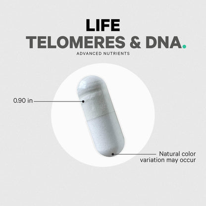 Codeage Ultra Life Telomeres Supplement - 5 MTHF Folate Vitamin B9, Vitamin B12 Methylcobalamin, Vitamin D3, L-Theanine, Ashwagandha - 3-Month Supply - DNA, Methylation Cycle - Non-GMO - 90 Capsules - dailyvitalstore