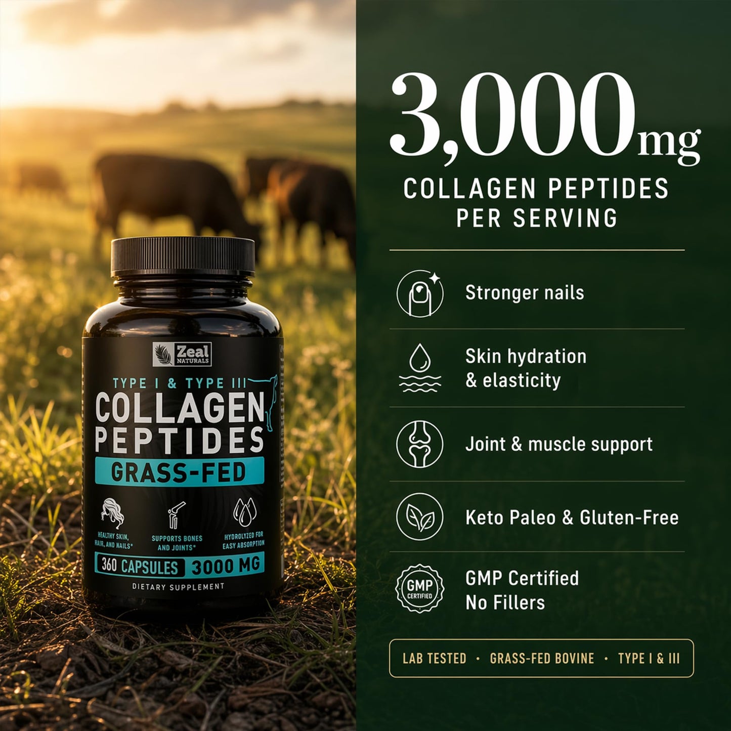 Collagen Peptides Capsules 360 Count - Grass Fed Bovine Hydrolyzed Collagen Pills - Hair, Skin & Nails, Joint Support - Collagen Supplements for Women & Men - dailyvitalstore