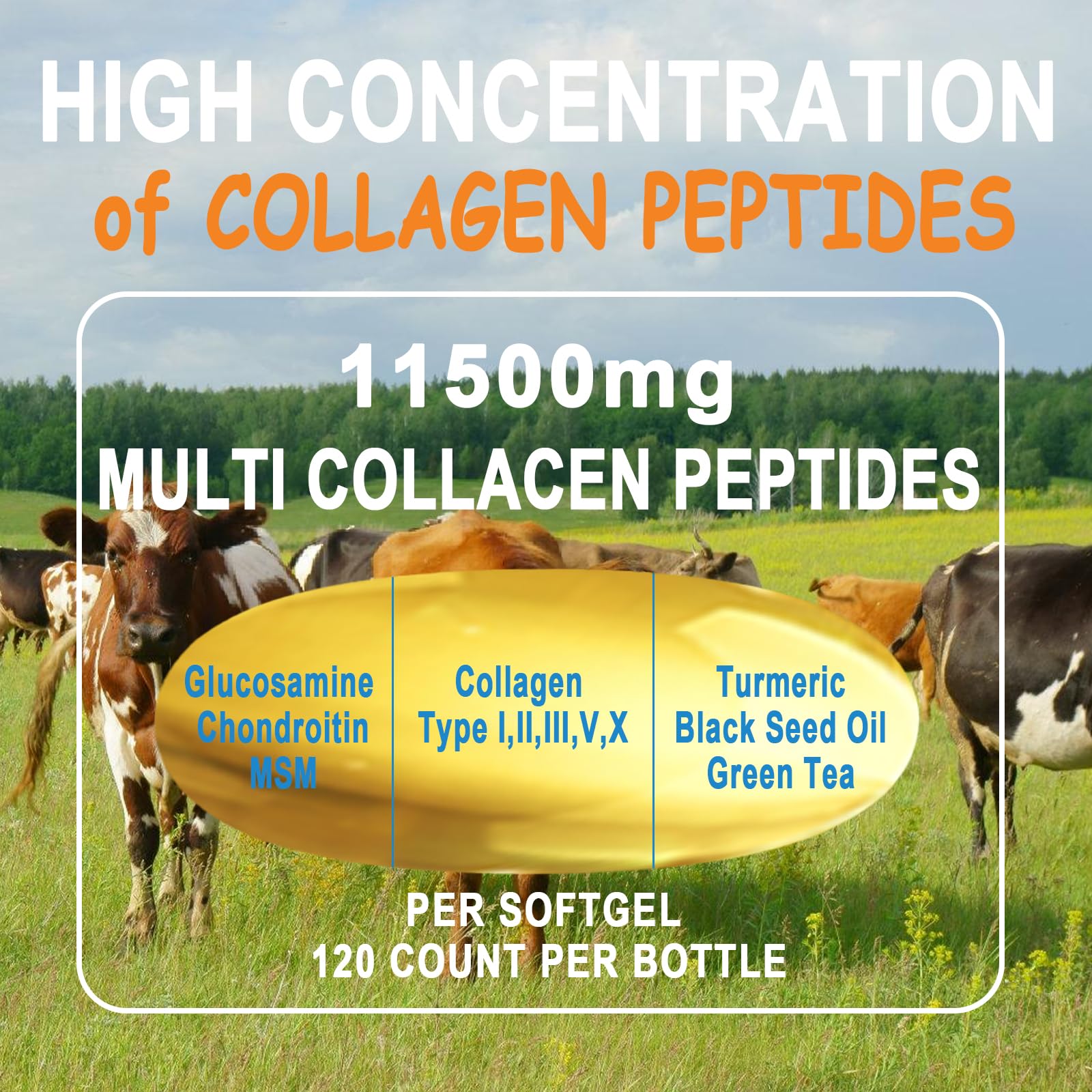 Collagen Peptides Softgels, Multi Collagen Peptide w/ Glucosamine Chondroitin MSM Biotin, Hydrolyzed Collagen Peptides Complex for Women Supports Skin Hair - dailyvitalstore