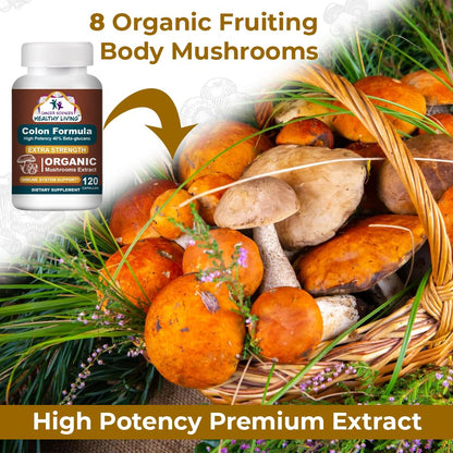 Colon Wellness Supplement, USDA Certified Organic Mushrooms Extract, Extra Strength 1,500 mg, High Potency 40% Beta-Glucans, Immune, Gut & Digestive, Colon Cleanse & Detox, 120 Caps - dailyvitalstore