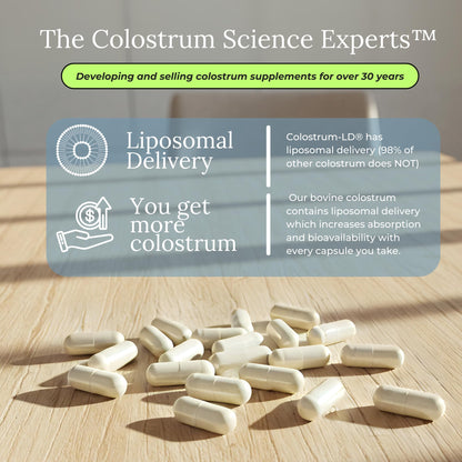 Colostrum-LD Capsules Colostrum with Liposomal Delivery - High Absorption - 240 Capsules - dailyvitalstore
