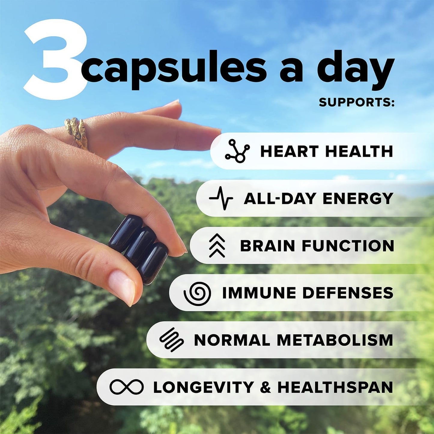 Complement Essential Vegan Multivitamin for Men & Women (30 Servings, 90 Capsules) with Omega-3 DHA & EPA, B12, Vitamin D3 & K2, Zinc, Selenium, Magnesium, Iodine - Supports Immunity & Overall Health - dailyvitalstore
