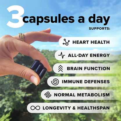 Complement Essential Vegan Multivitamin for Men & Women (60 Servings, 180 Capsules) with Omega-3 DHA & EPA, B12, Vitamin D3 & K2 - dailyvitalstore