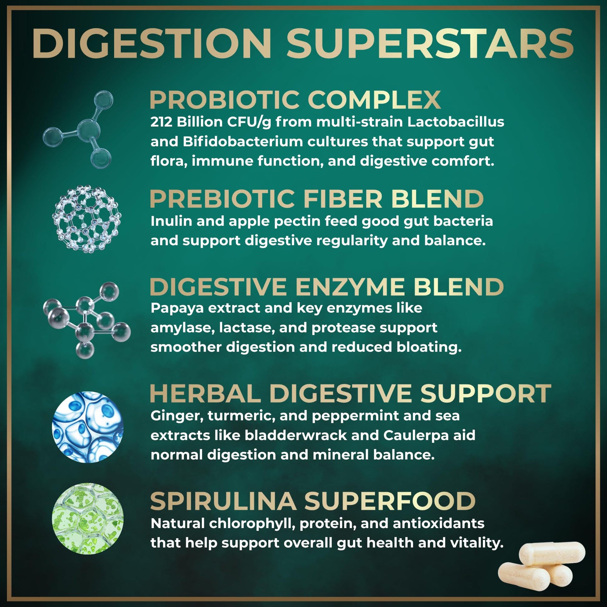 Complete Digestive Enzymes for Women & Men - 800mg Vegan Digestive Enzymes and Probiotics Prebiotics - Bloating Support, Gut Health & Digestion Supplement - dailyvitalstore
