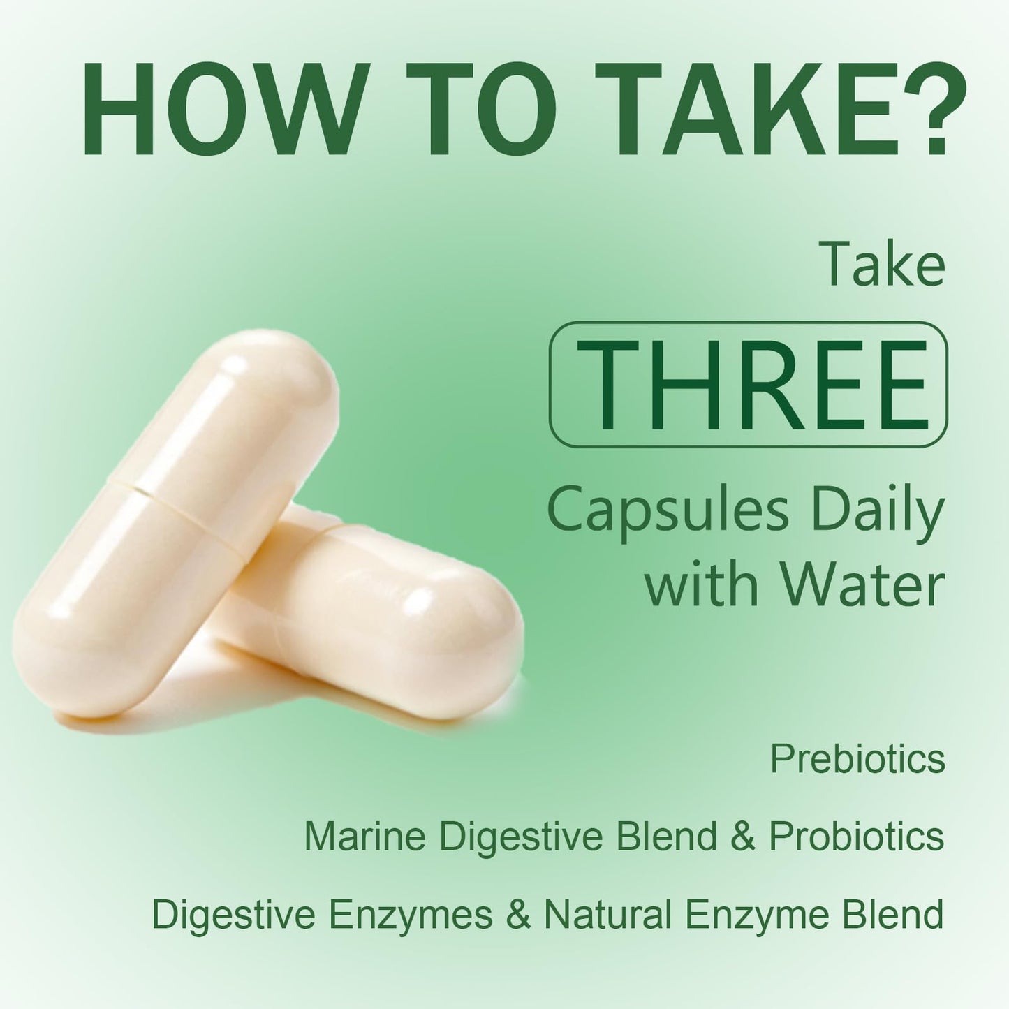 Complete Digestive Enzymes Supplement for Gut Health & Bloating Relief - Enhanced with Lipase Amylase Bromelain for Protein Carb - dailyvitalstore