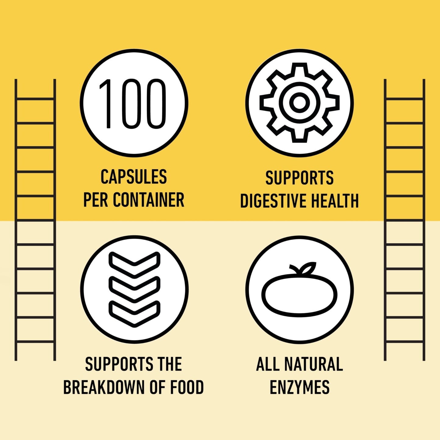 Complete Natural Products Digestive Enzyme Capsules, 550mg, 100ct | Plant-Based Formula - dailyvitalstore