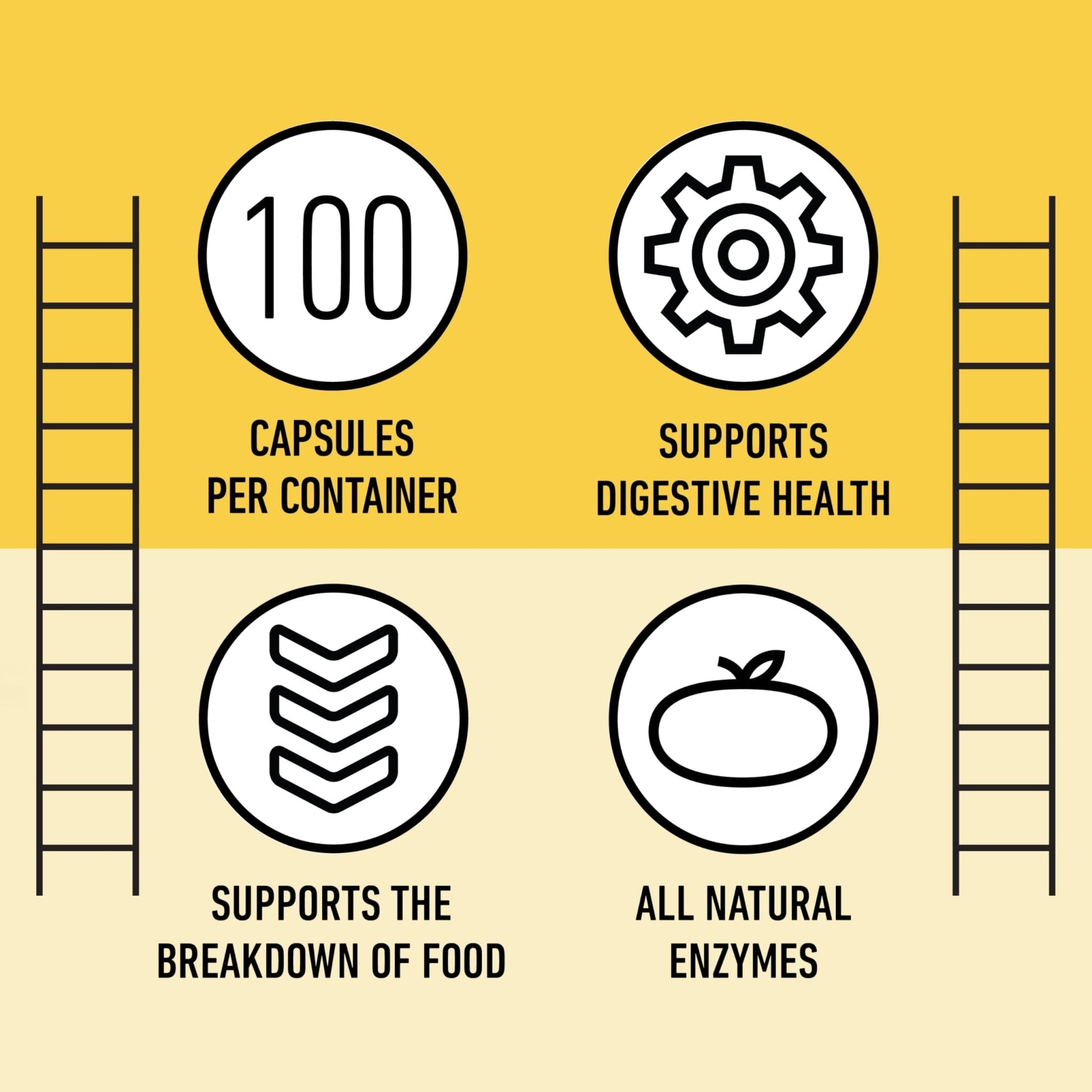 Complete Natural Products Digestive Enzyme Capsules, 550mg, 100ct | Plant-Based Formula - dailyvitalstore