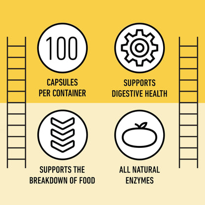 Complete Natural Products Digestive Enzyme Capsules, 550mg, 100ct | Plant-Based Formula - dailyvitalstore
