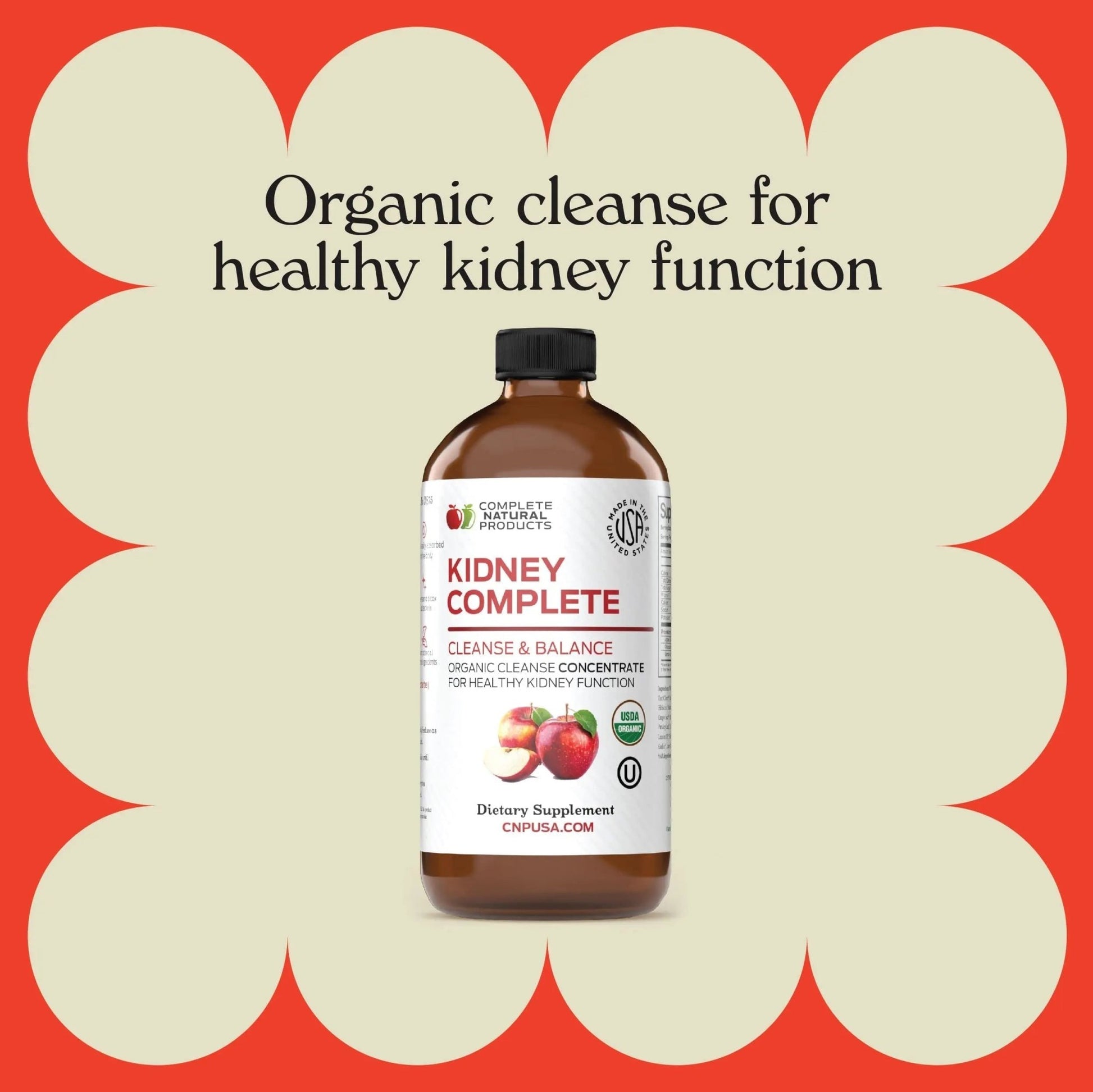 Complete Natural Products Urinary Tract Complete 16oz & Kidney Complete 16oz Bundle - dailyvitalstore