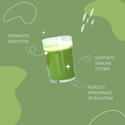 Consult Health Gut-Duction Bloat Control – Gut Health Support Superfood Formula – Plant Based Proteins - Probiotics – Powder Drink Mix – 28 Servings – 9.9 oz. - dailyvitalstore