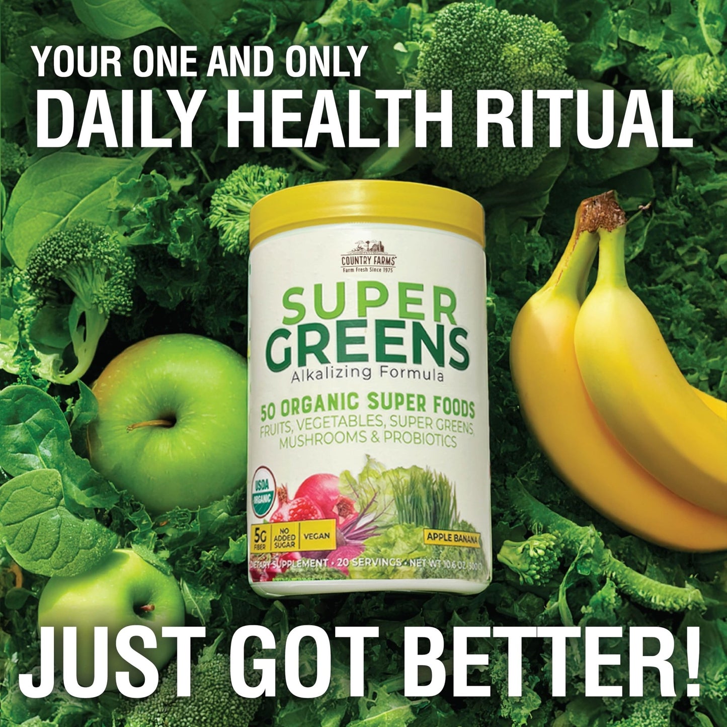 Country Farms Super Greens Apple Banana Powder Smoothie, Organic Super Foods, USDA Organic Drink Mix, Fruits, Vegetables, Mushrooms, Superfood Nutrition, 40 Servings, 2 Pack - dailyvitalstore