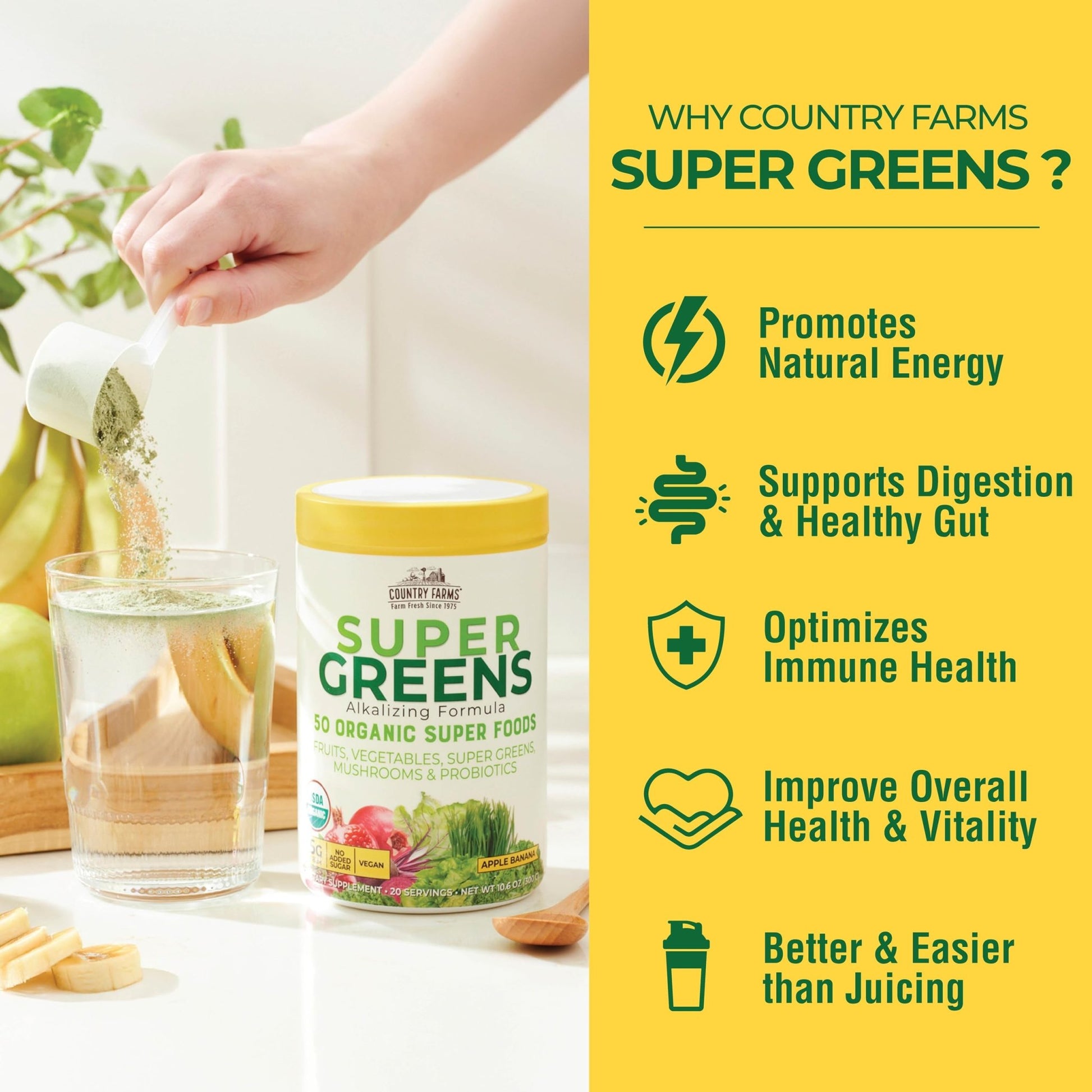 Country Farms Super Greens Apple Banana Powder Smoothie, Organic Super Foods, USDA Organic Drink Mix, Fruits, Vegetables, Mushrooms, Superfood Nutrition, 40 Servings, 2 Pack - dailyvitalstore