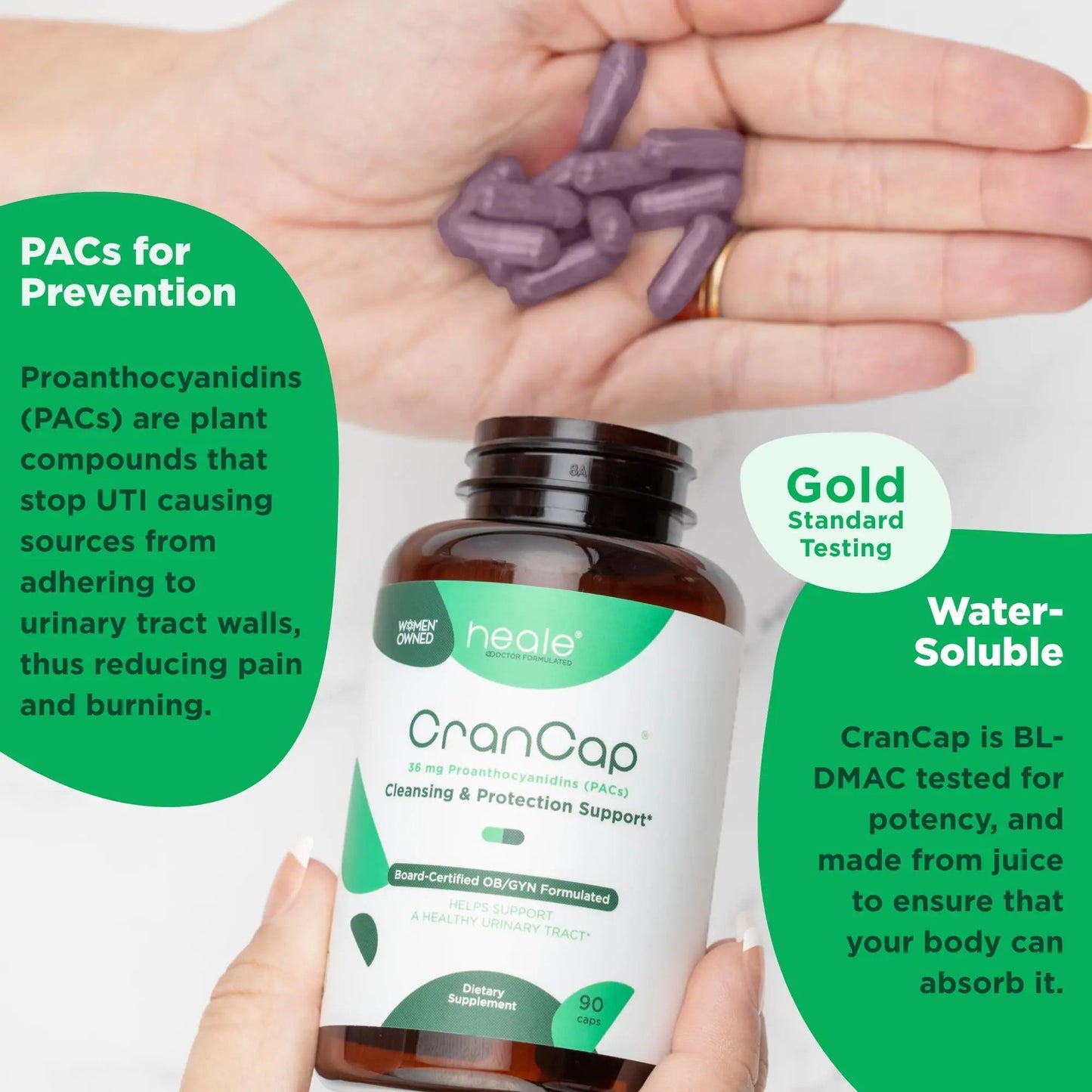 CranCap - Cranberry Pills - Urinary Tract Health Cranberry Supplement - 36mg of Potent PACs - Non GMO, Vegan, Gluten Free - by Heale - 30 Capsules - dailyvitalstore