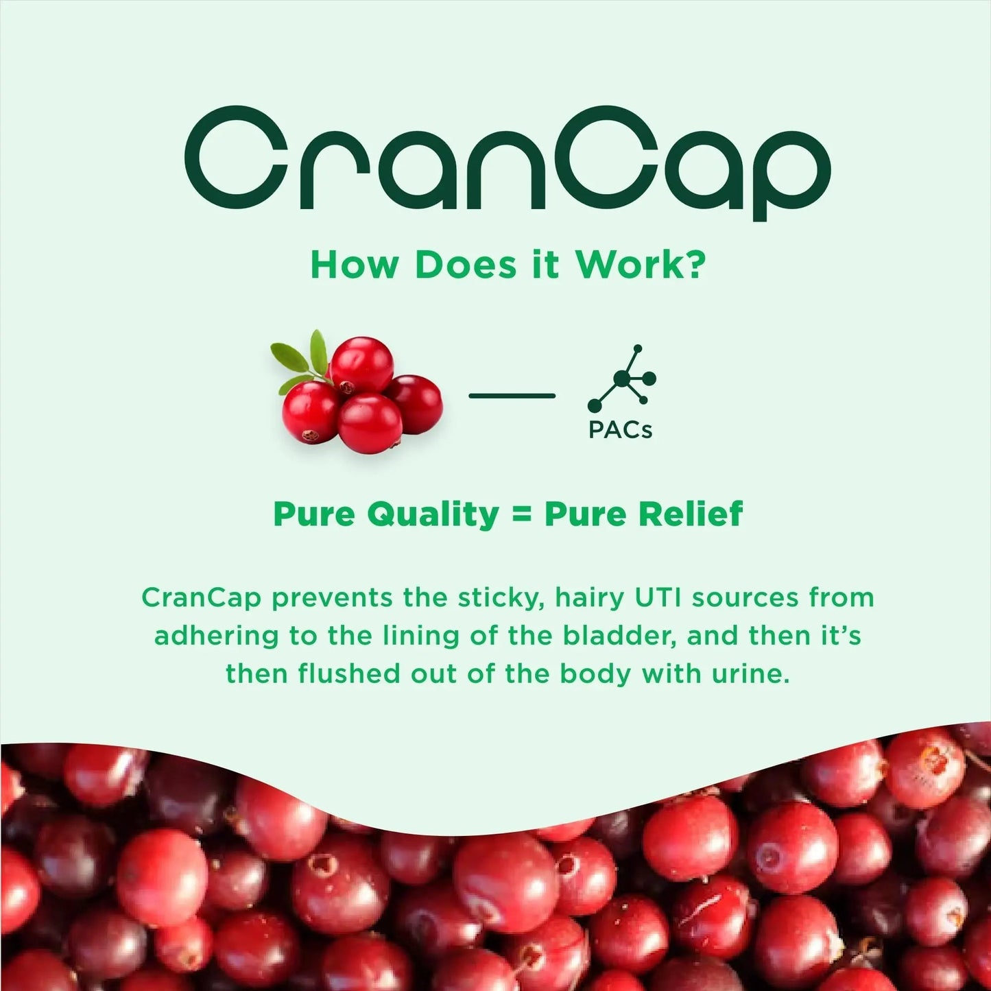 CranCap - Cranberry Pills - Urinary Tract Health Cranberry Supplement - 36mg of Potent PACs - Non GMO, Vegan, Gluten Free - by Heale - 30 Capsules - dailyvitalstore