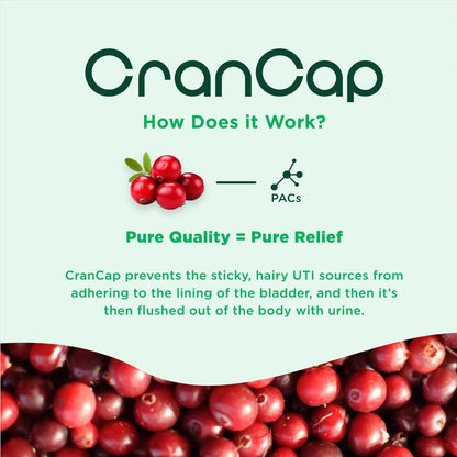 CranCap - Cranberry Pills - Urinary Tract Health Cranberry Supplement - 36mg of Potent PACs - Non GMO, Vegan, Gluten Free - by Heale - 30 Capsules - dailyvitalstore