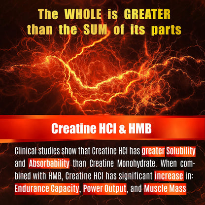 Creatine HCL Capsules with HMB - Workout Supplement for Men & Women, Muscle Builder, Endurance, Strength, Superior to Monohydrate: Instantized for Max Absorption, No Load - dailyvitalstore