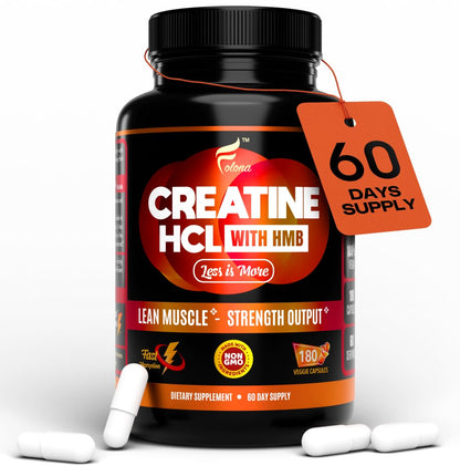 Creatine HCL Capsules with HMB - Workout Supplement for Men & Women, Muscle Builder, Endurance, Strength, Superior to Monohydrate: Instantized for Max Absorption, No Load - dailyvitalstore