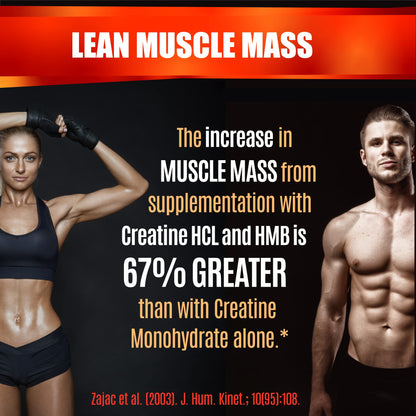 Creatine HCL Capsules with HMB - Workout Supplement for Men & Women, Muscle Builder, Endurance, Strength, Superior to Monohydrate: Instantized for Max Absorption, No Load - dailyvitalstore