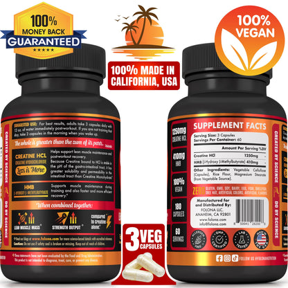 Creatine HCL Capsules with HMB - Workout Supplement for Men & Women, Muscle Builder, Endurance, Strength, Superior to Monohydrate: Instantized for Max Absorption, No Load - dailyvitalstore