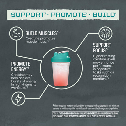 Creatine Monohydrate Powder Micronized PreWorkout Recovery Supplement | Support Muscle Building Strength Training Cognition | Vegan & Keto Friendly Easily Mixes - dailyvitalstore