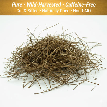 Cure Wid Pure Pine Needle Tea 3.5 Oz – 50 Cups Pine Tea – Wild Harvested from Pakistan in Eco-Friendly Resealable Pouch | Aromatic & Soothing Caffeine-Free Herbal Tea, Antioxidant & Immune Support - dailyvitalstore