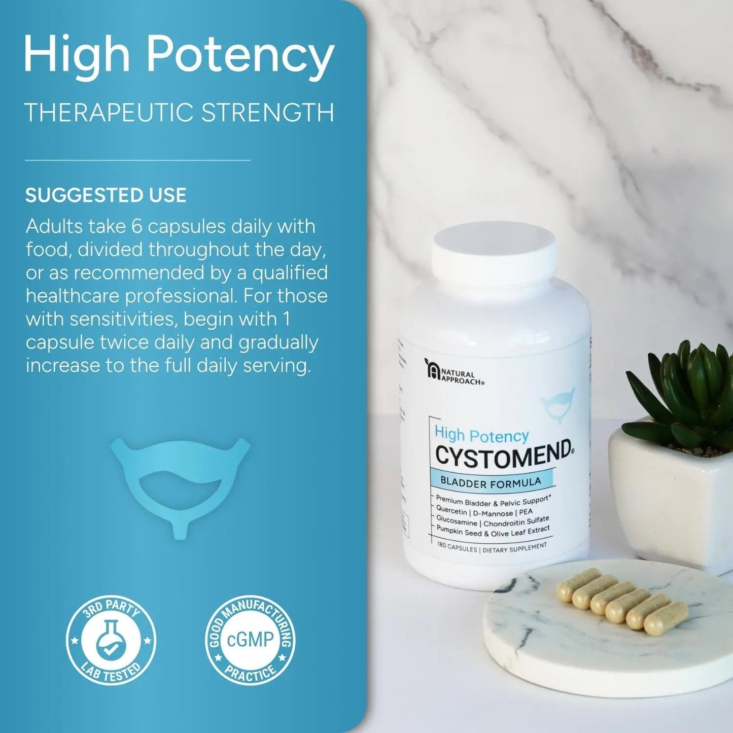 CystoMend Bladder & Pelvic Discomfort Formula (High Potency) - Supports Less Flares & Urgency* - Premium Bladder Support for Women & Men - USA Manufactured & Third-Party Tested - 180 Capsules - dailyvitalstore