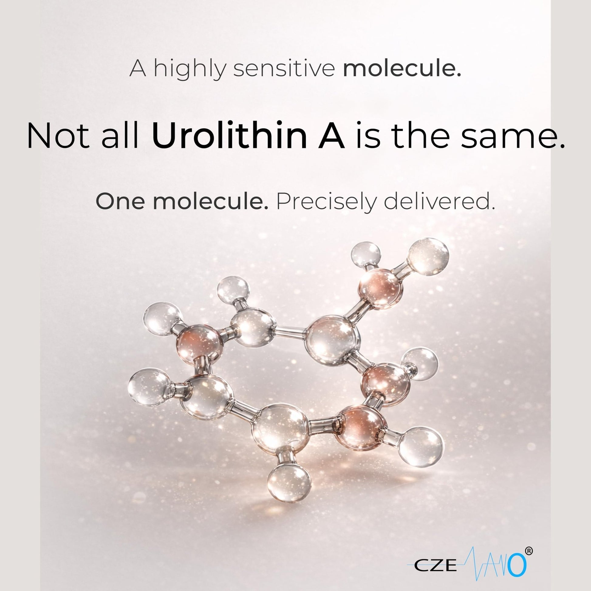 CzeNano Longevity – Ultra-Pure Urolithin A Supplement 1000 mg | Mitochondrial Support, Cellular Energy & Muscle Strength | Third-Party Tested COA | 60 Vegan Capsules - dailyvitalstore