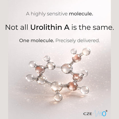 CzeNano Longevity – Ultra-Pure Urolithin A Supplement 1000 mg | Mitochondrial Support, Cellular Energy & Muscle Strength | Third-Party Tested COA | 60 Vegan Capsules - dailyvitalstore