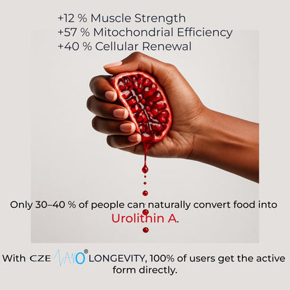 CzeNano Longevity – Ultra-Pure Urolithin A Supplement 1000 mg | Mitochondrial Support, Cellular Energy & Muscle Strength | Third-Party Tested COA | 60 Vegan Capsules - dailyvitalstore