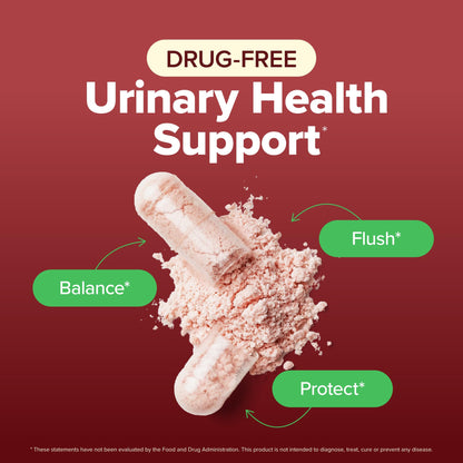 D Mannose with Cranberry | Drug-Free Urinary Tract Health Support | Evidence-Based DMannose 1300mg for Urinary & Bladder Health for Women | D Mannose Supplements for Women & Men | Non-GMO | 240 Ct - dailyvitalstore