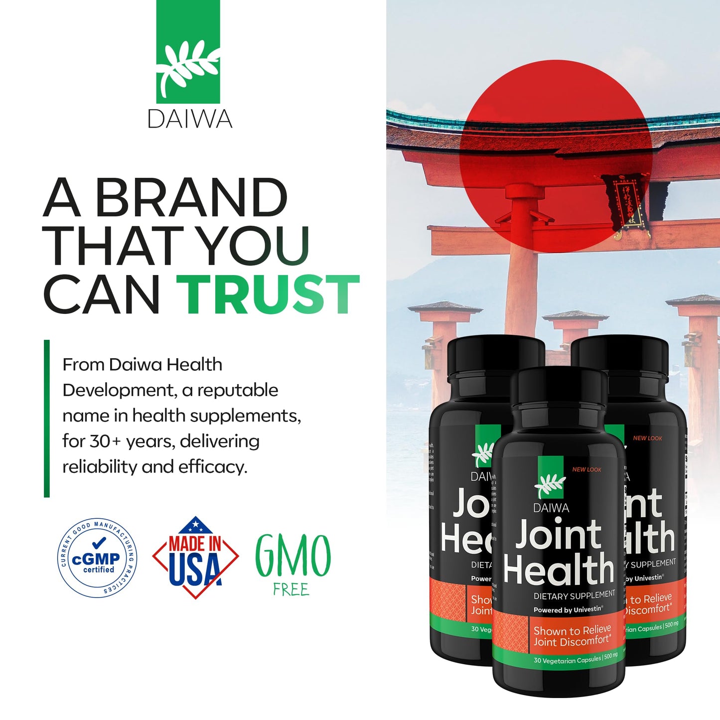 Daiwa Joint Health - Tendon and Ligament Supplements with Chinese Skullcap and Acacia Catechu - Traditional Plant-Based Formula for Active Lifestyles - Non-GMO, 30 Vegetarian Capsules - dailyvitalstore