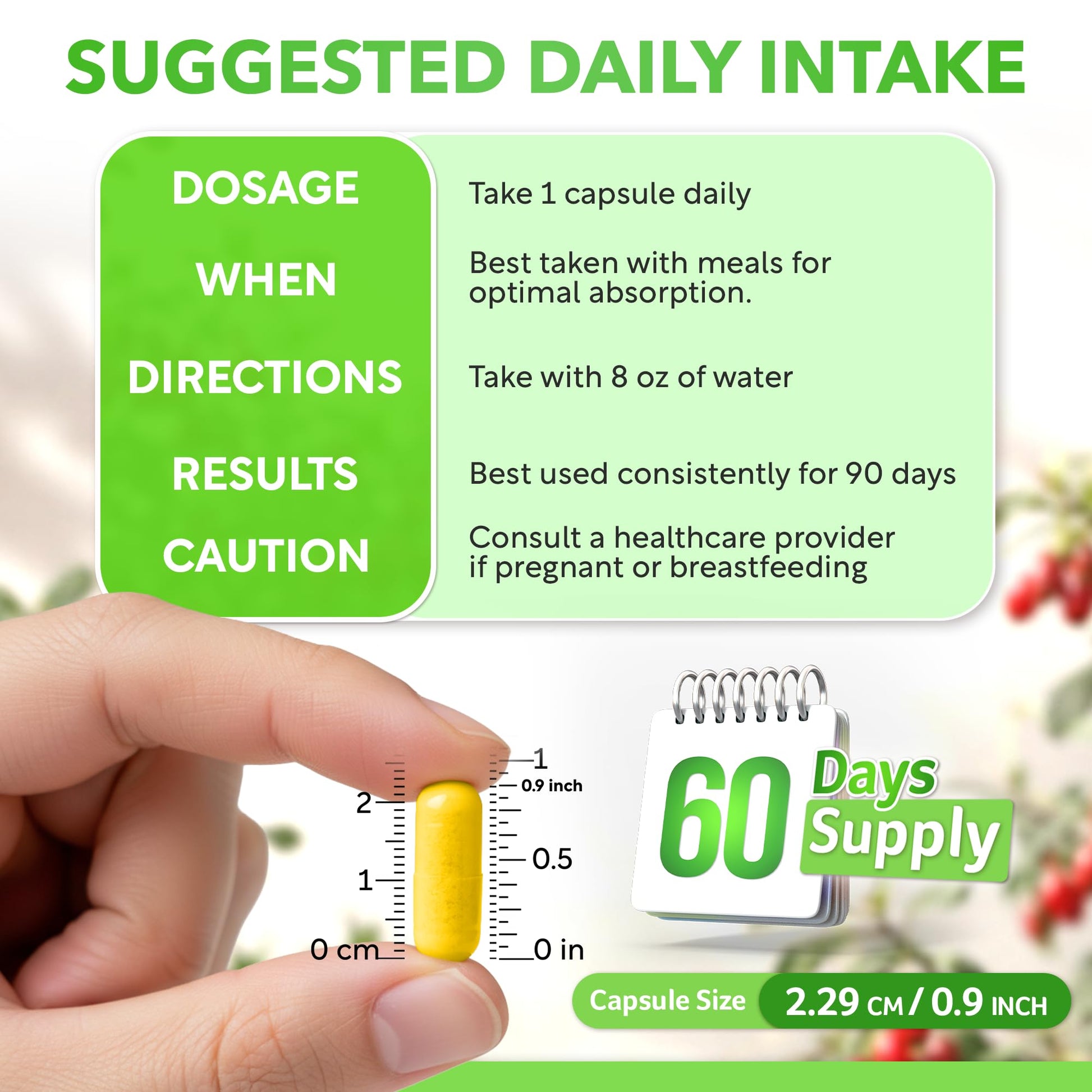 Dalnara Dihydroberberine Capsules 250mg, 60 Count - Supports Metabolic Wellness & Balanced Energy, Non-GMO,Dihydroberberine Supplement - dailyvitalstore