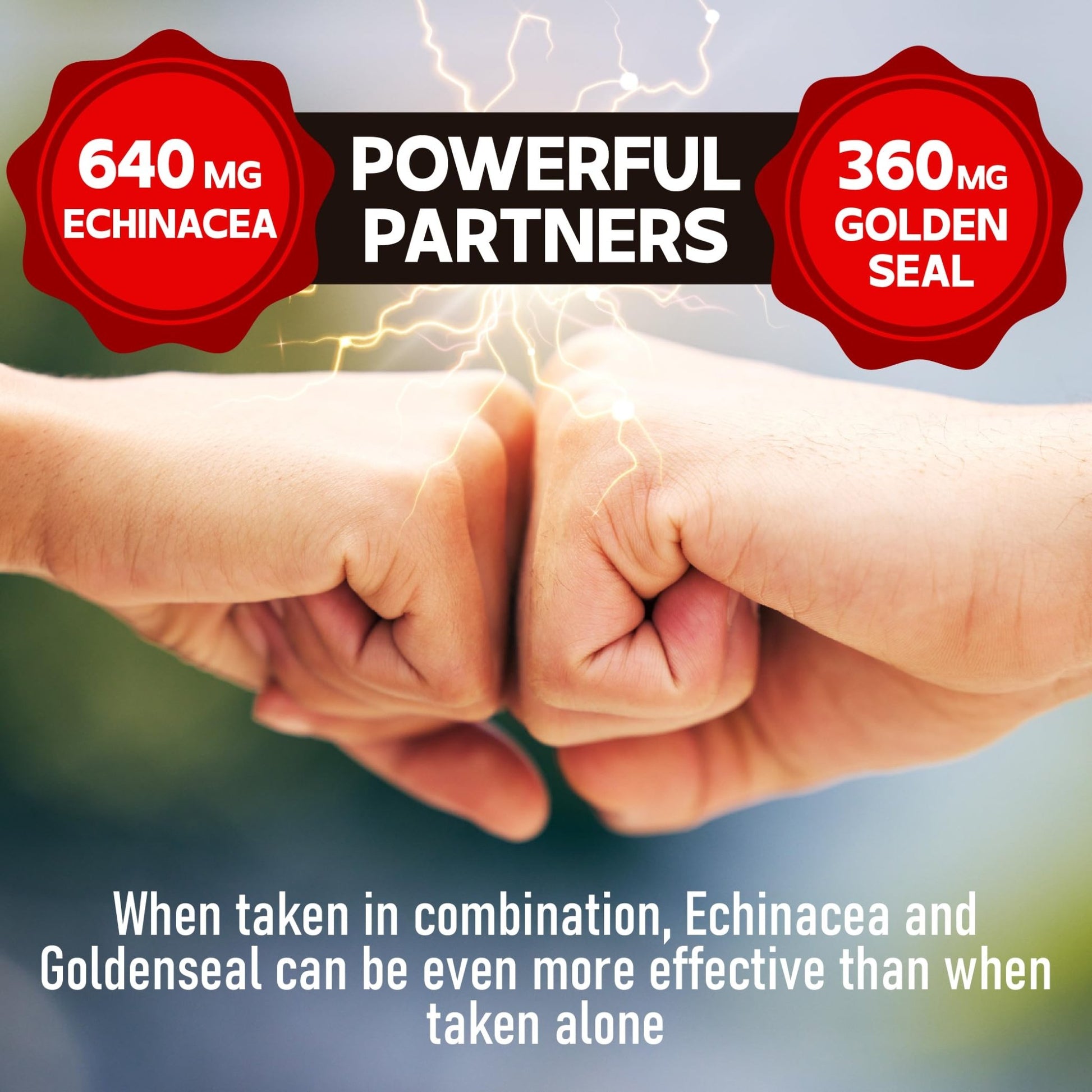 DEDICAD 1000mg Echinacea Goldenseal Capsules - Support Immune System, Well-Being & Overal Health - 60 Veggie Capsules - Non-GMO, Gluten-Free - dailyvitalstore