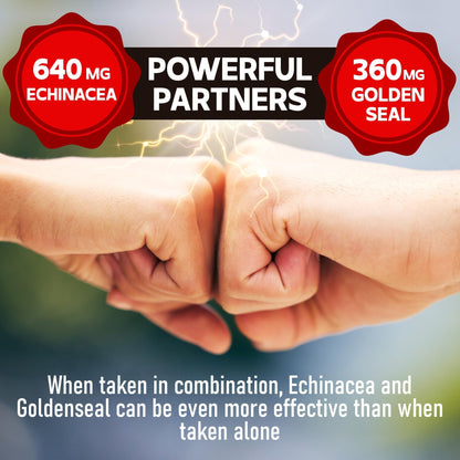 DEDICAD 1000mg Echinacea Goldenseal Capsules - Support Immune System, Well-Being & Overal Health - 60 Veggie Capsules - Non-GMO, Gluten-Free - dailyvitalstore