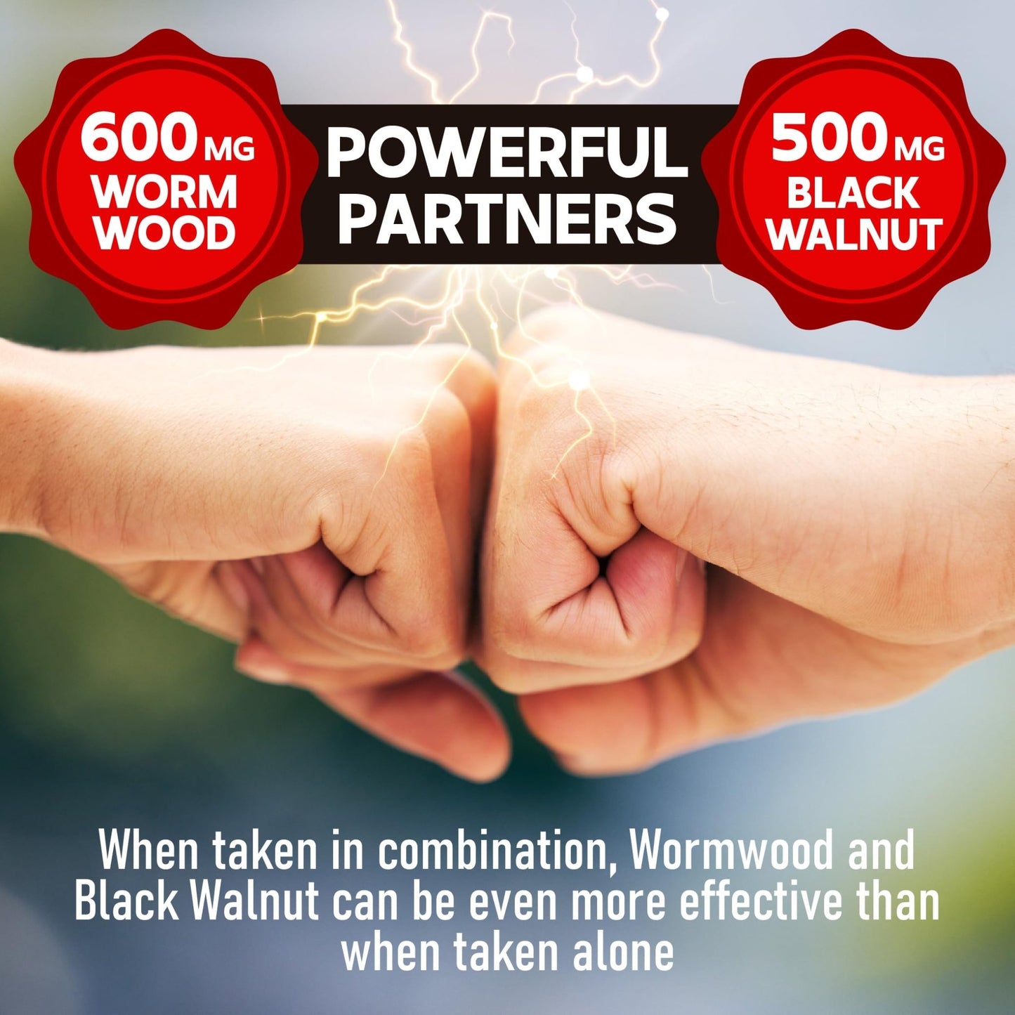DEDICAD 1500mg Wormwood Capsules with Black Walnut & Cloves - Artemisia Annua Supplement for Immunity - 60 Vegan Capsules - dailyvitalstore