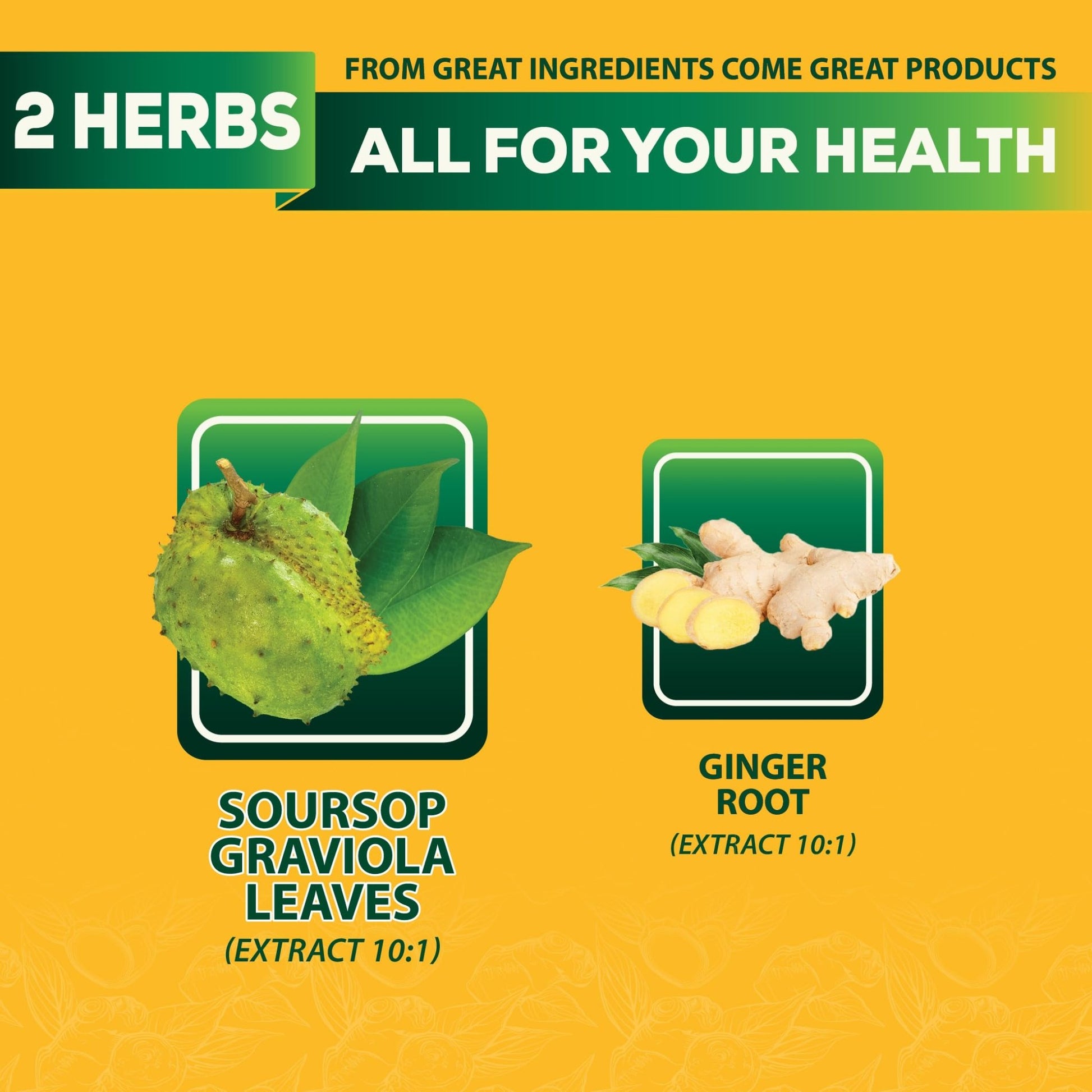 DEDICAD Soursop Leaves Tea Bags with Ginger, 30 Tea bags, 2gr/bag - Non-GMO/Caffeine free - Support Digestion, Well Skin, Immune System - dailyvitalstore