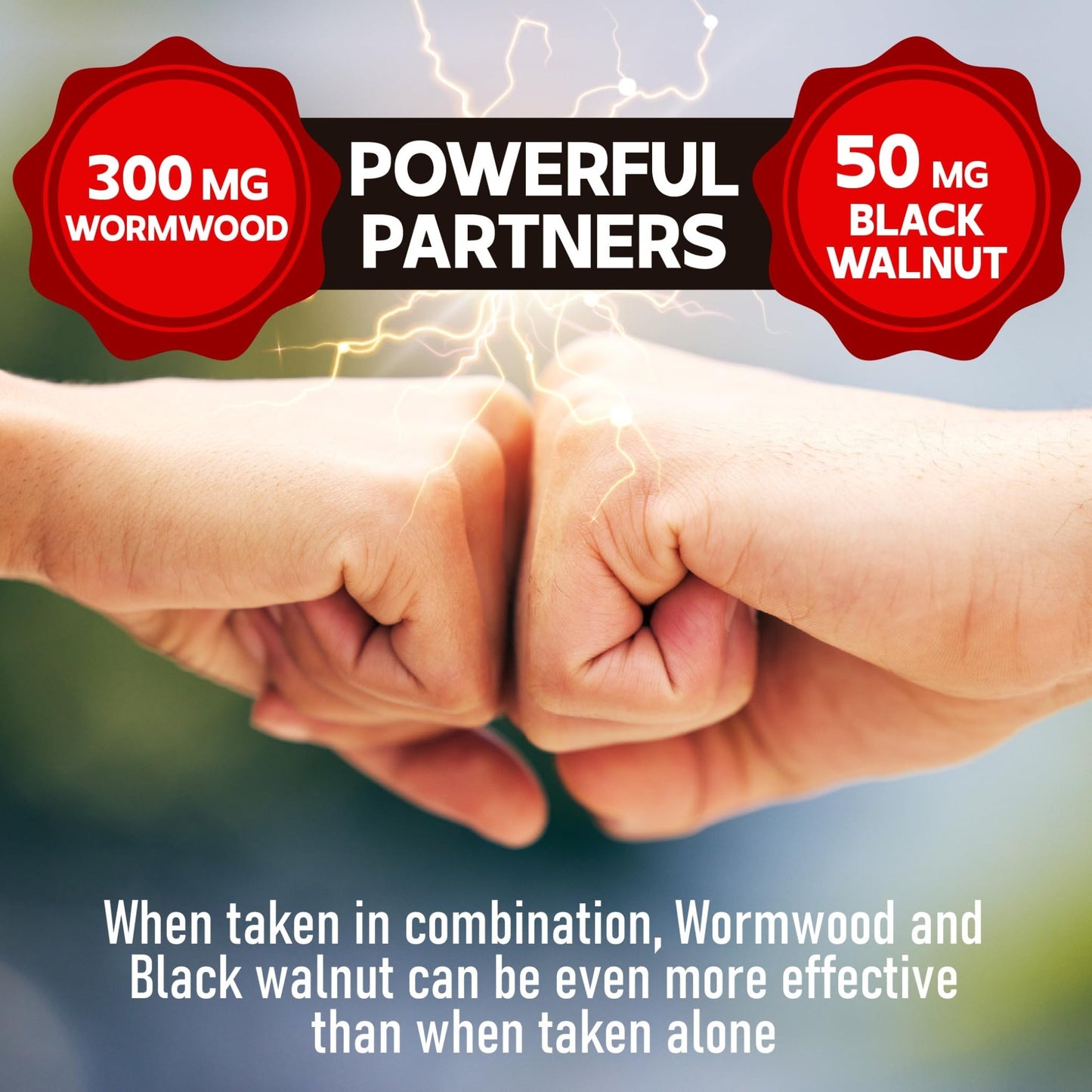 DEDICAD Wormwood Capsules - 12 Herbs Blended Black Walnut, Cloves, Ginger, Turmeric, Cinnamon, Apple, Quassia - 2 Packs 50 Capsules - dailyvitalstore