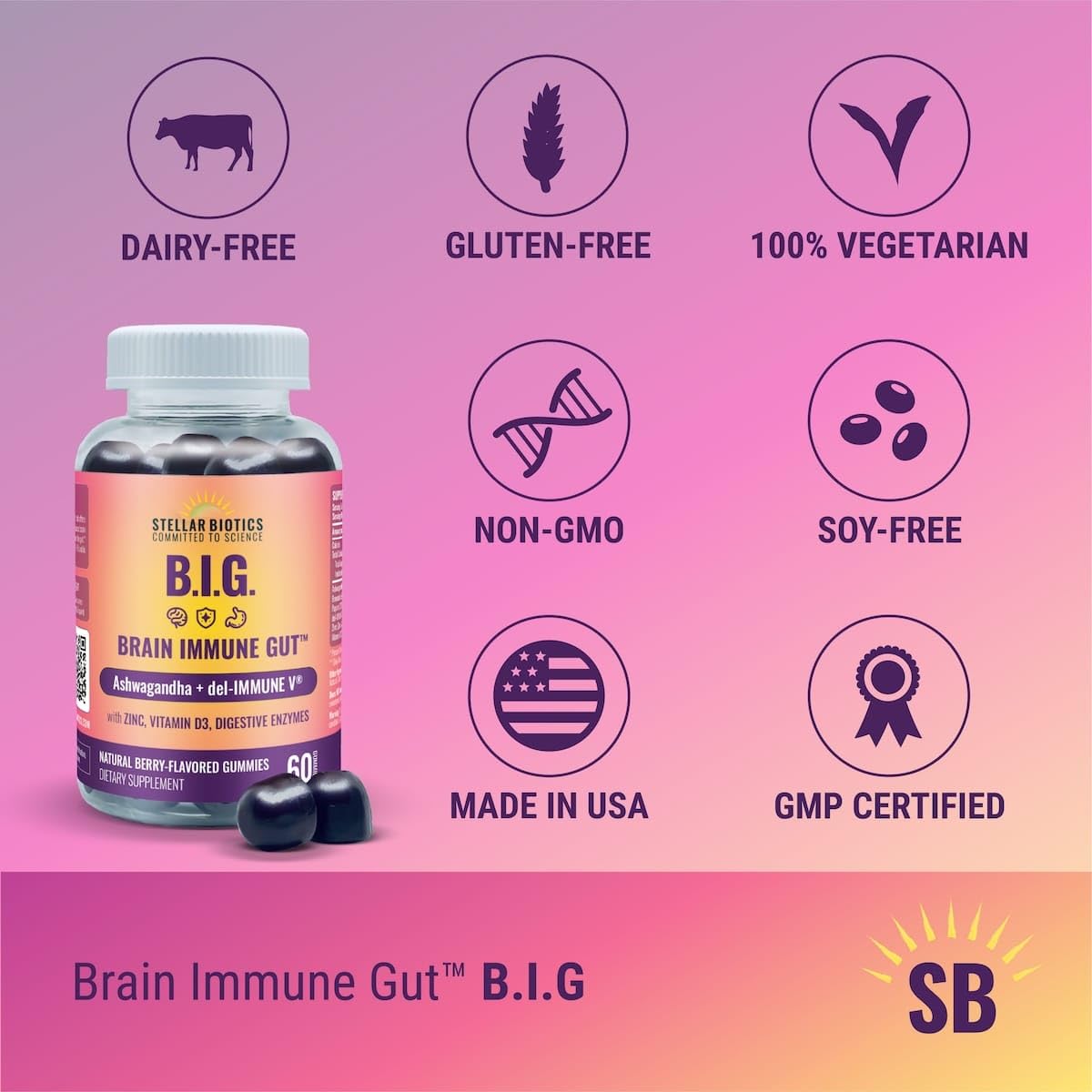 Del-Immune V + Ashwagandha - Brain Immune Gut™ (B.I.G.) Gummy - All Natural Immune & Gut Support with Zinc, Vitamin D3 + Digestive Enzymes (60 Gummies) - dailyvitalstore
