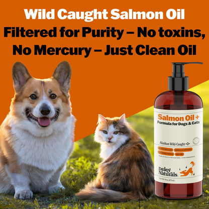 Deley Naturals Wild Alaskan Salmon Oil for Dogs & Cats - New and Improved Salmon Oil Plus Formula - Fish Oil for Dogs with Omega 3, DHA and EPA - Omega 3 for Healthy Skin and Coat - 8oz Made in USA - dailyvitalstore