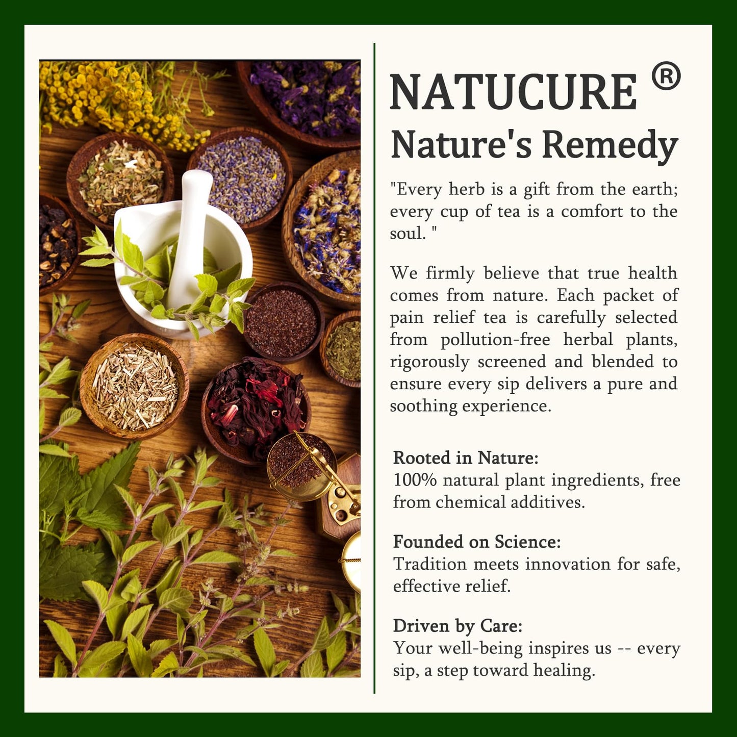 DERMFREE Natural Soothing Instant Formula for Nerve & Joint Health, Fast-Acting Migraine Relief, Nerve Savior for Neuropathy - dailyvitalstore