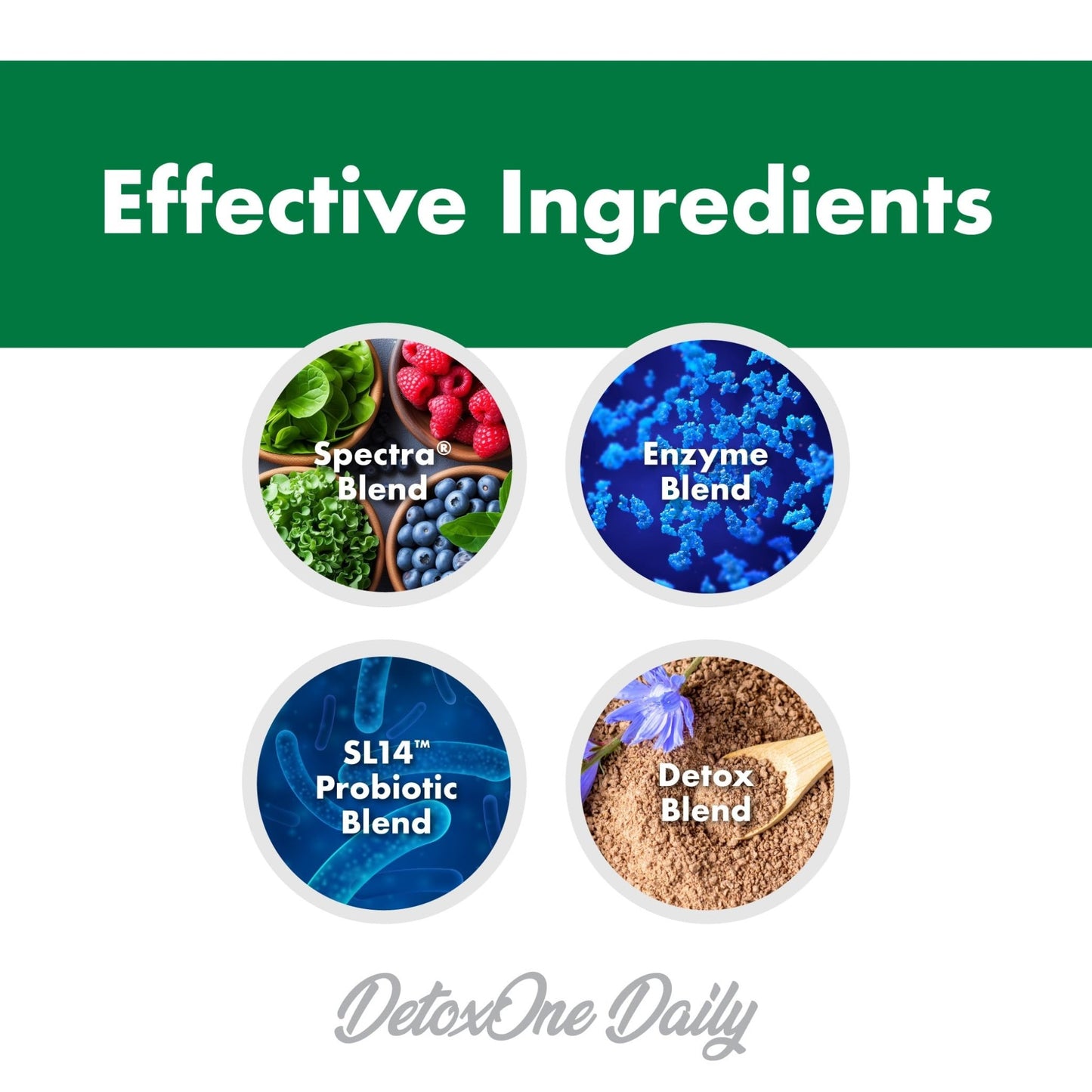 DetoxOne Daily Gut Health Powder* | Supports Normal/Healthy Digestive Function*| Promotes Detoxification*| Boost Energy & Improves Nutrient Absorption* - dailyvitalstore
