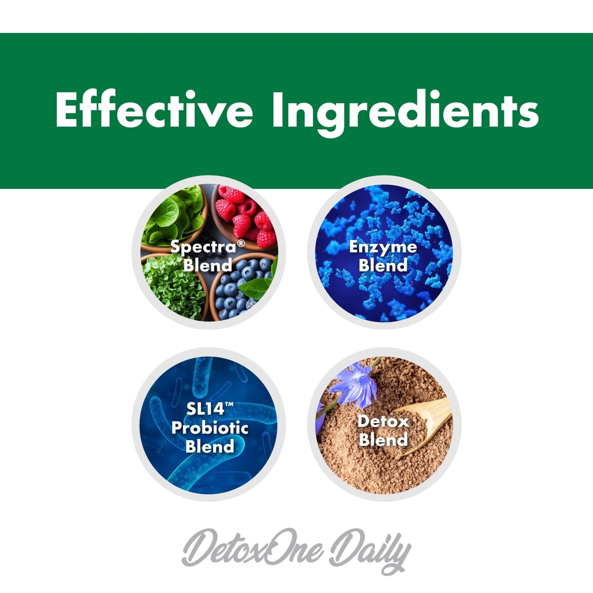DetoxOne Daily Gut Health Powder* | Supports Normal/Healthy Digestive Function*| Promotes Detoxification*| Boost Energy & Improves Nutrient Absorption* - dailyvitalstore