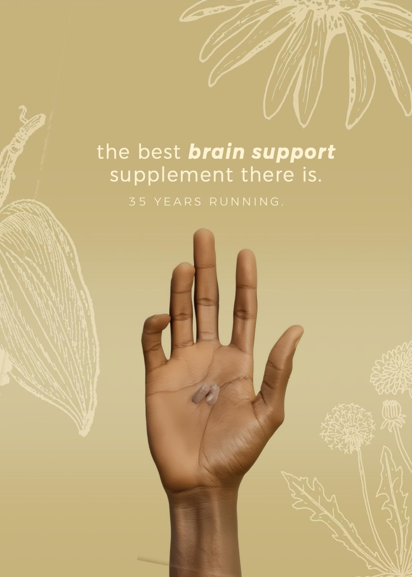 DiamondMIND Brain Support Supplement - Natural Formula for Mental Energy & Cognitive Function - Focus, Clarity, and Memory Supplement - Less Mental Stress - Vegan, Gluten-Free, Dairy-Free - (60 Count) - dailyvitalstore