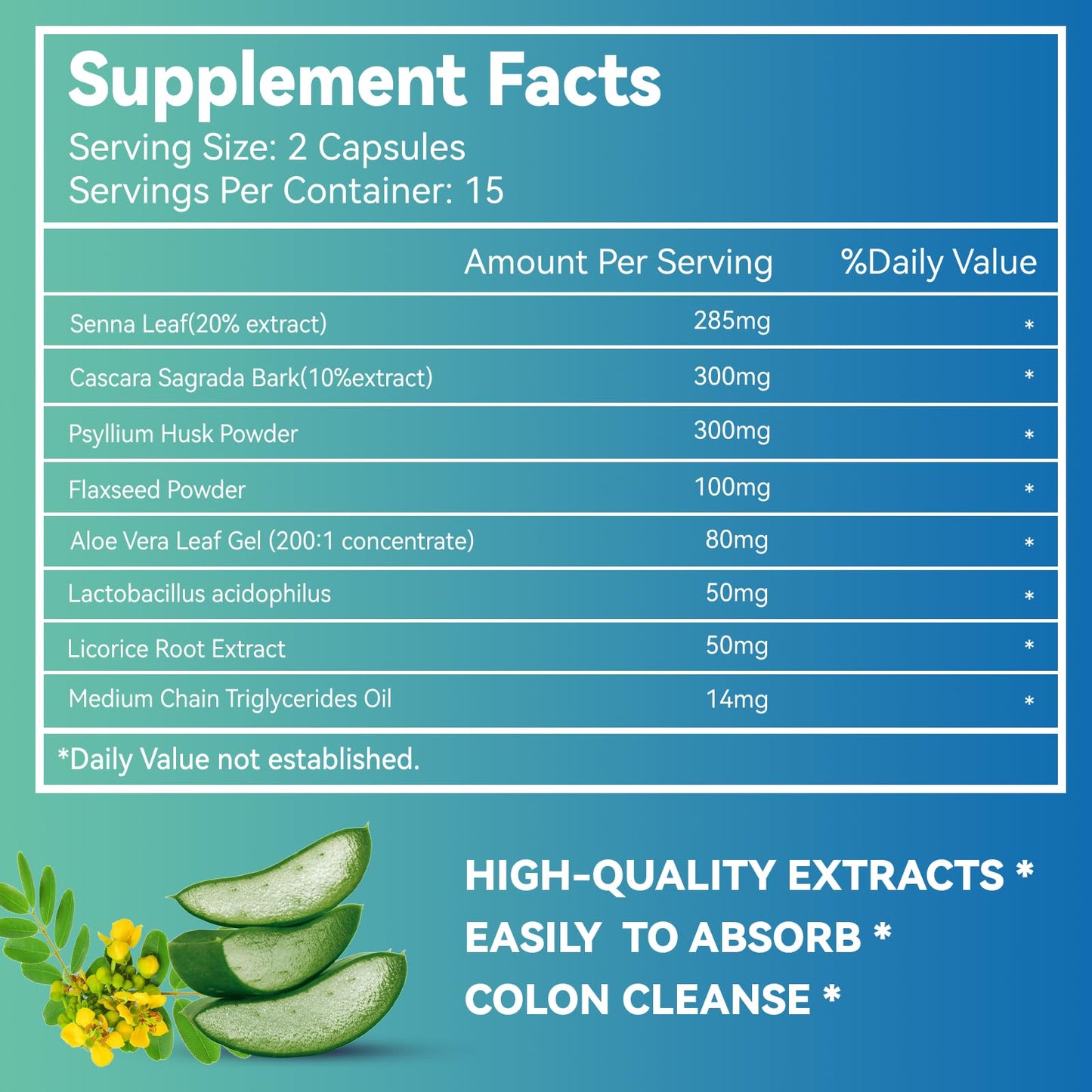 DIATMOON Gut Cleanse Capsules, Gut and Colon Support, Detox & Cleanse, for 15 Days, Non-GMOs, Non-Gluten, Vegan, Colon Cleanse Supplement, 30 Count - dailyvitalstore