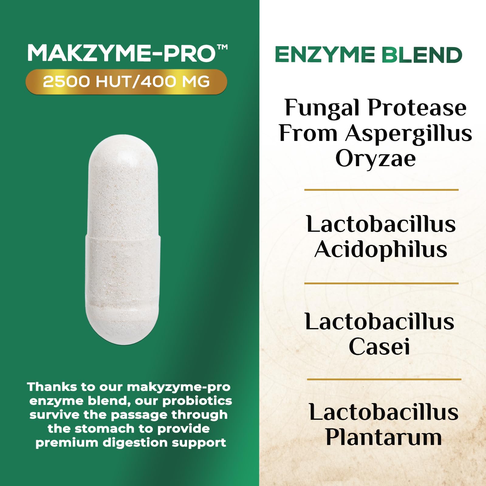Digestive Enzymes - Super Digestive Multi Enzyme Complex for Bloating & Gut Health Support with Bromelain, Papain, Probiotics & Prebiotics - Digestion Health - dailyvitalstore