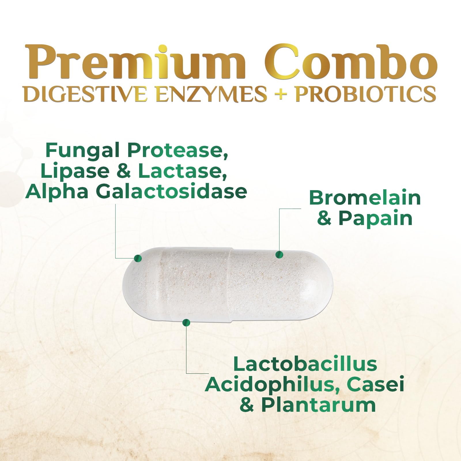 Digestive Enzymes - Super Digestive Multi Enzyme Complex for Bloating & Gut Health Support with Bromelain, Papain, Probiotics & Prebiotics - Digestion Health - dailyvitalstore