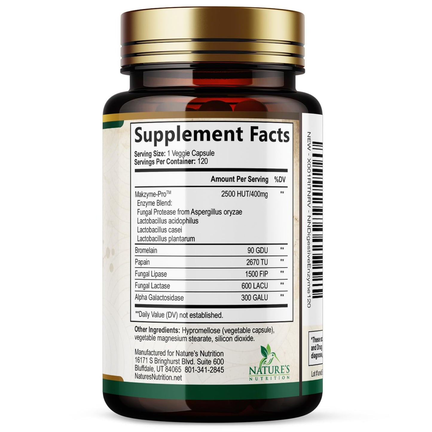 Digestive Enzymes - Super Digestive Multi Enzyme Complex for Bloating & Gut Health Support with Bromelain, Papain, Probiotics & Prebiotics - Digestion Health - dailyvitalstore