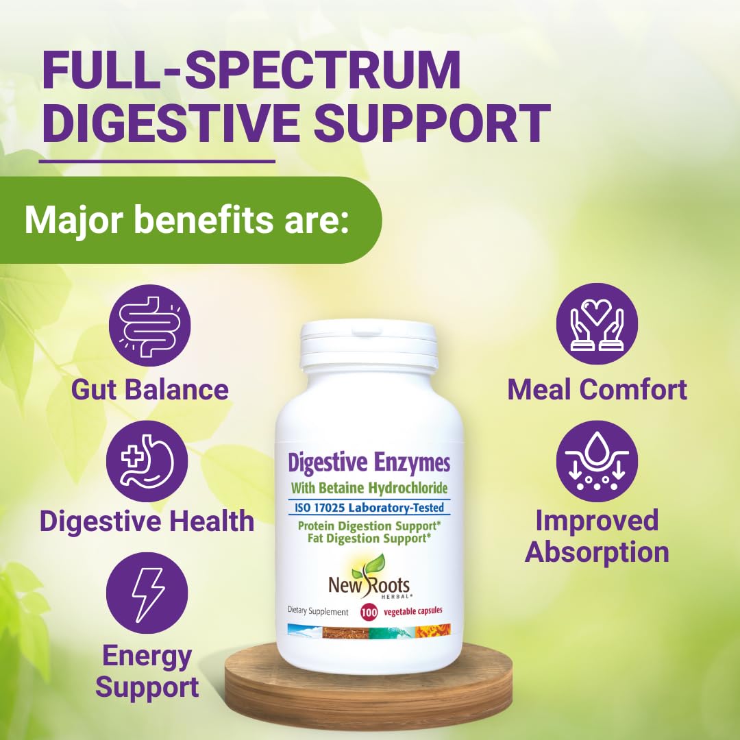 Digestive Enzymes with Ox Bile and Betaine HCl (100 Caps) Ox Bile Supplements for No Gallbladder with Papain & Pepsin A | Pancrease Cleanse & Detox - dailyvitalstore